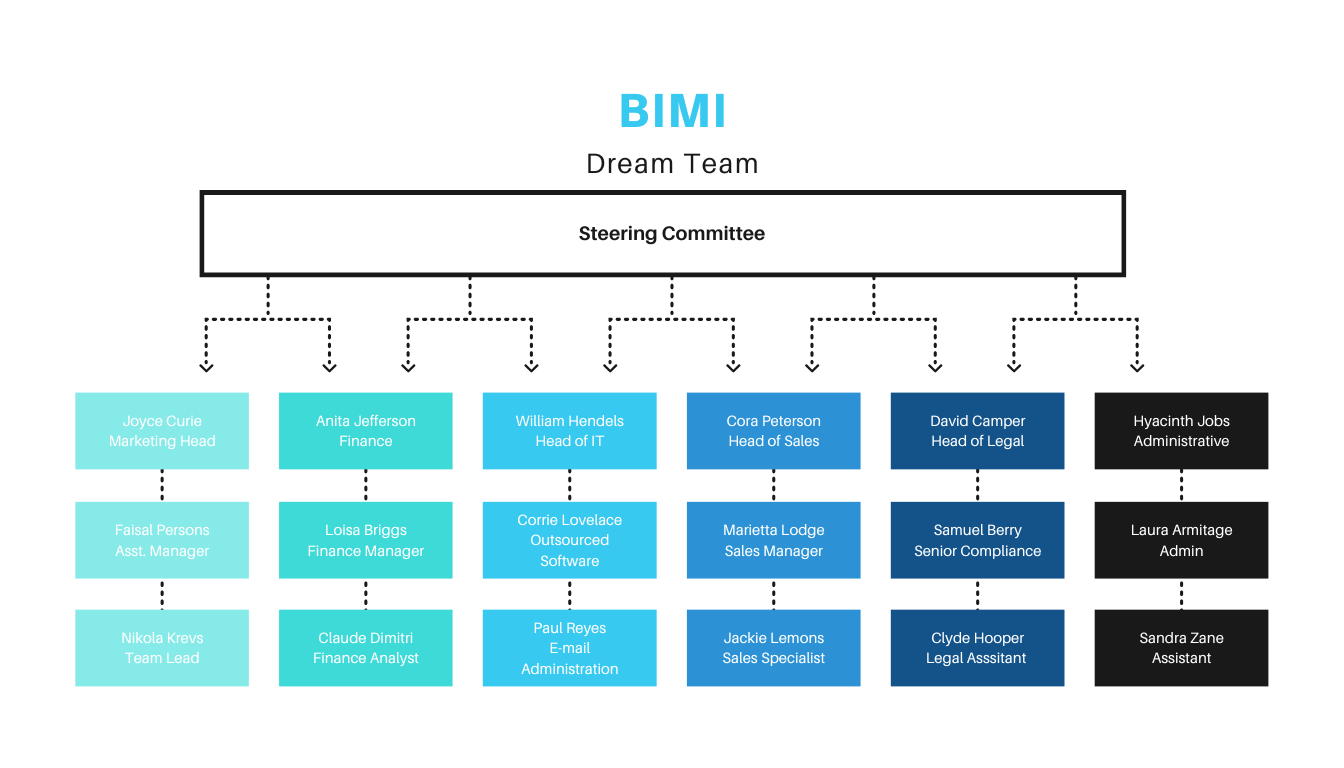 L'organigramma del Dream team di BIMI è composto dai dipartimenti Marketing, Finanza, IT, Vendite, Legale e amministrativo.